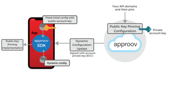How to Protect Against Certificate Pinning Bypassing