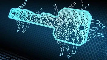 Why Should You Keep Your API Key Secure?