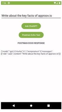 Postman Echo Screenshot