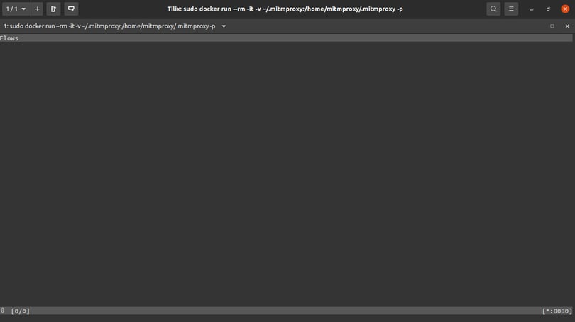 mitmproxy screenshot