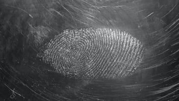 Approov Web Protection with FingerprintJS