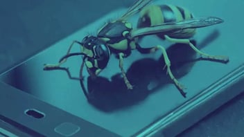How Does Your App Rate Against the 2024 OWASP Mobile Top Ten Risks?