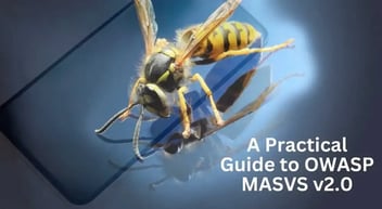 A Practical Guide to OWASP MASVS v2.0- Its Evolution & Implementation