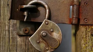Addressing Vulnerabilities and Abuse for Comprehensive API Security