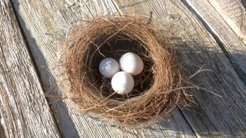 Approov Integration for the NodeJS NestJS Framework