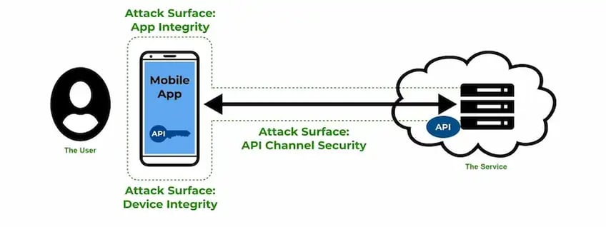 what-to-shield