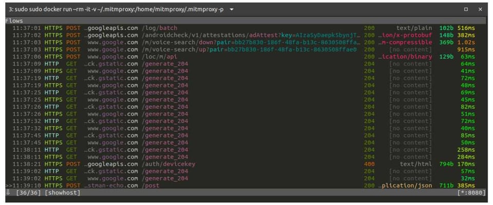 mitmproxy screen with intercepted requests