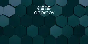 Best Practices for Secure Access of Third-Party APIs from Mobile Apps