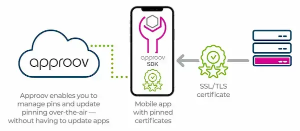 Pining api connections
