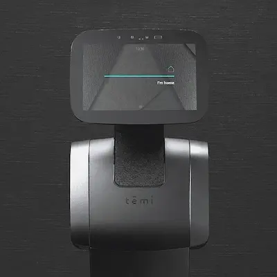 Temi brand
