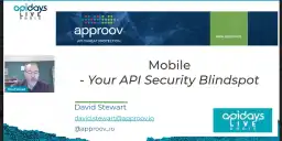 Mobile - Your API Security Blindspot