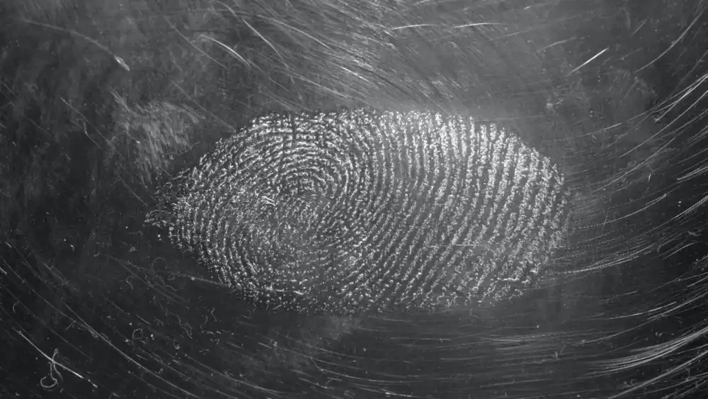 A fingerprint in a surface full of risks.